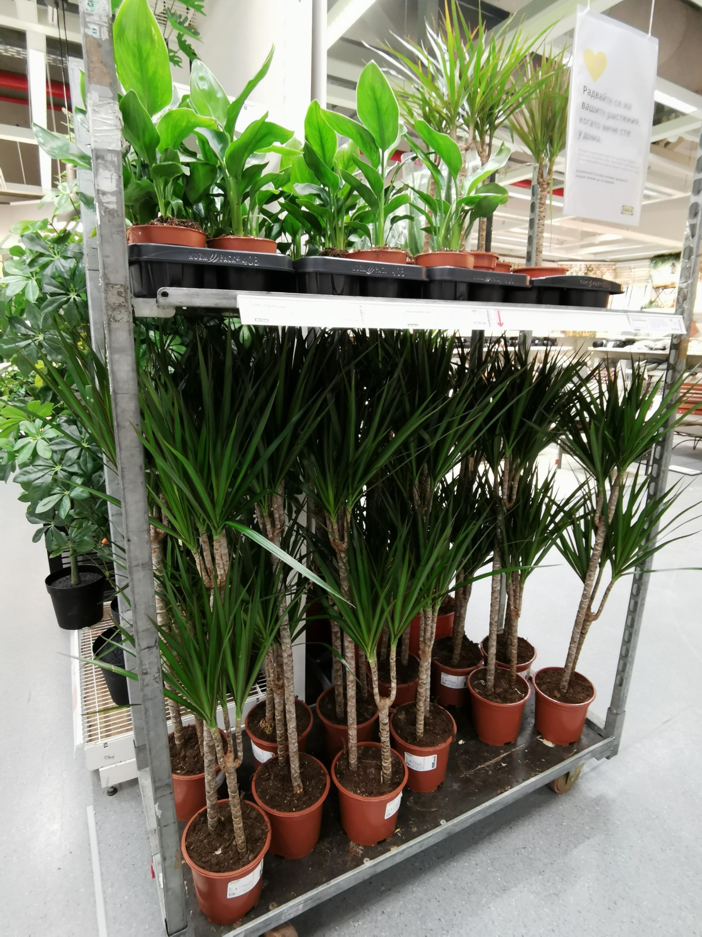 Kunstige planter og blomster fra IKEA